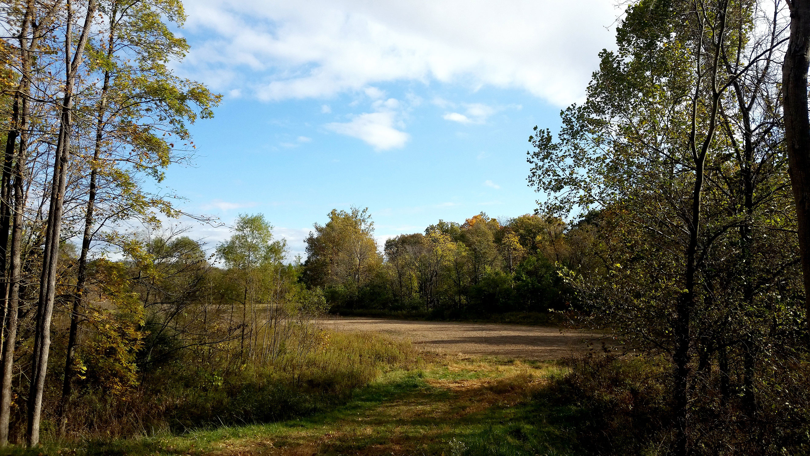Wooded Property for Sale, Warren County, Indiana