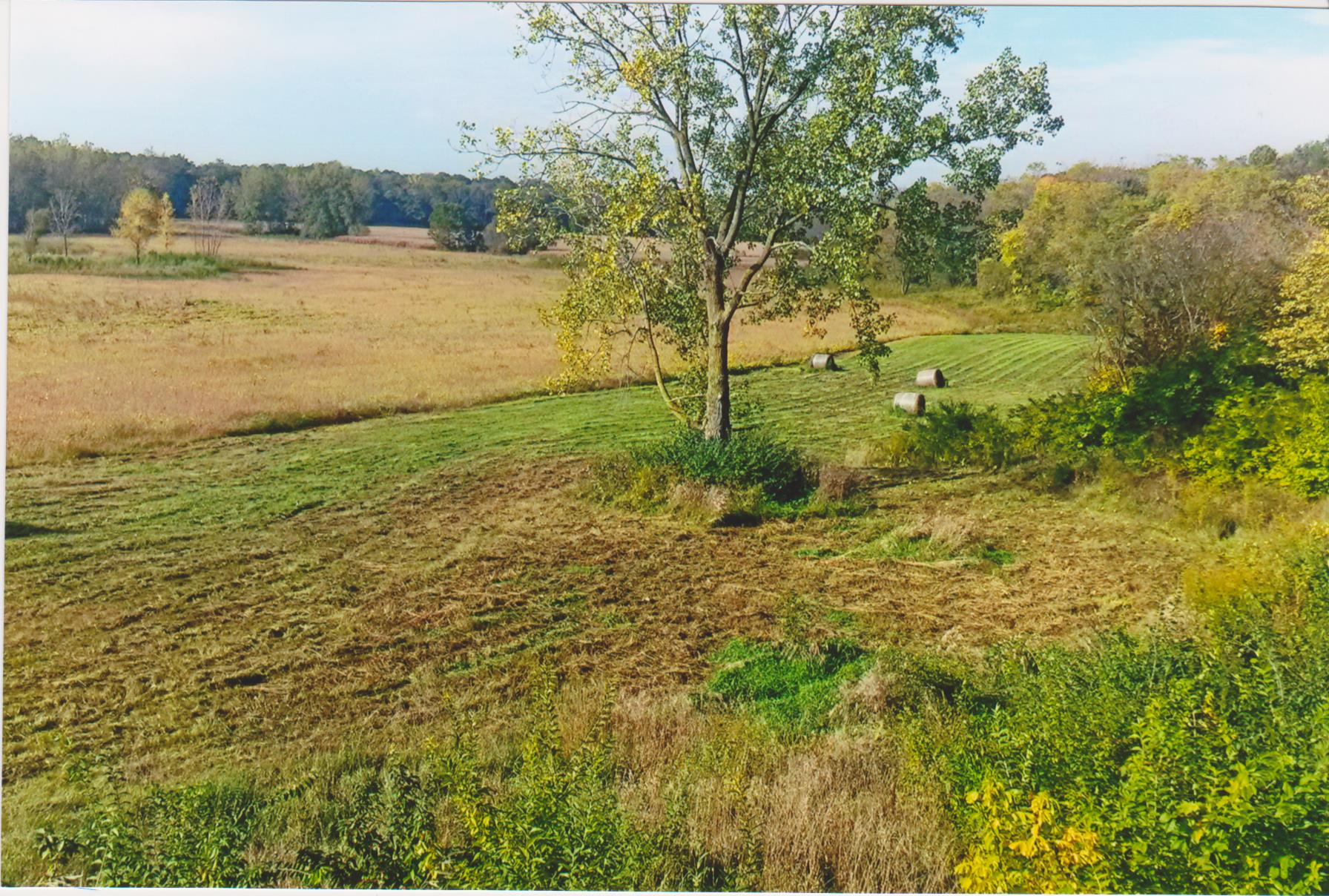 50 Acres Wooded Hunting Land + Tillable Farmland for Sale