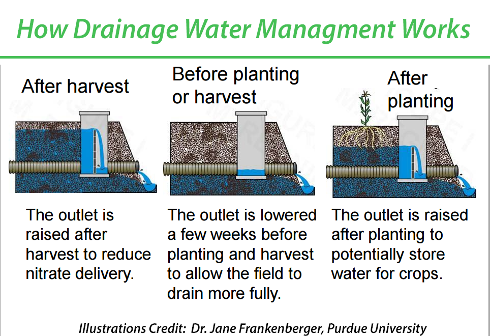 Drainage Water Management Practices on Indiana Farmland