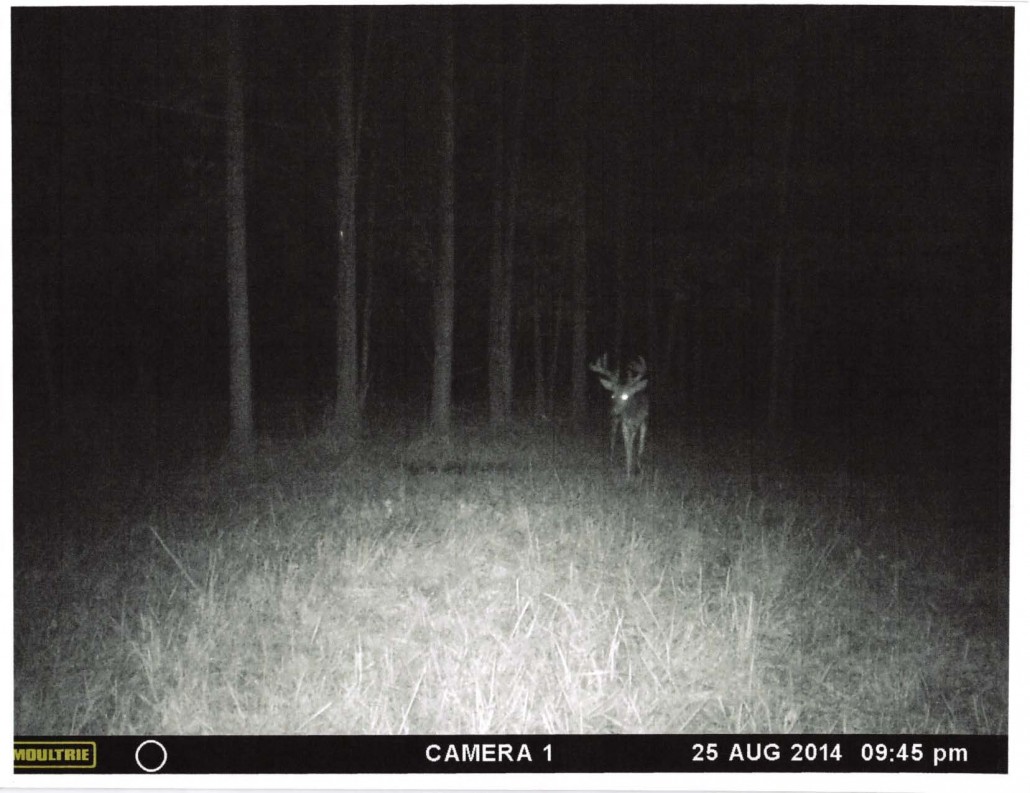 Wooded Recreational Hunting Property for Sale Putnam County, Indiana