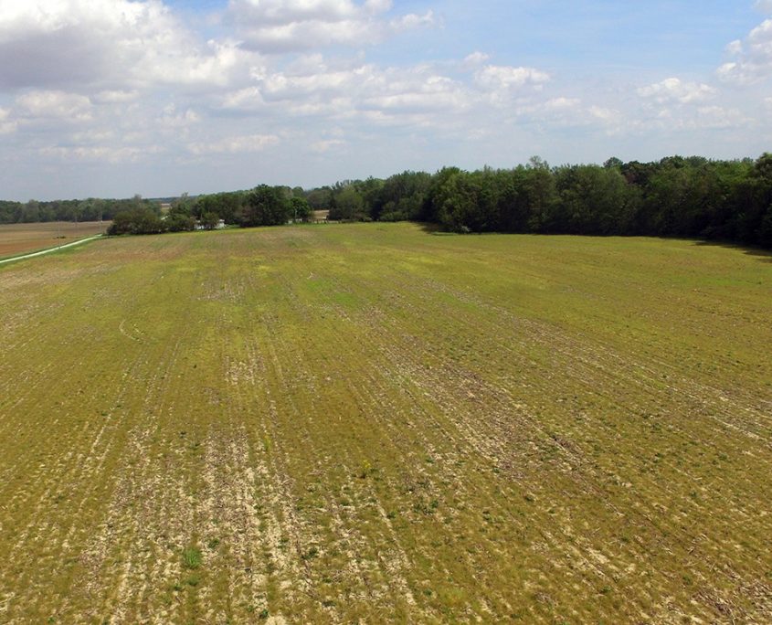 Tillable Farm Carroll County, Indiana Flora Farmland Real Estate