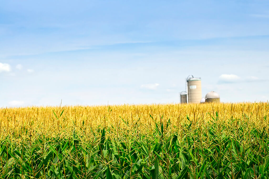 Farms for Sale Indiana, Agricultural Real Estate & Wooded Property