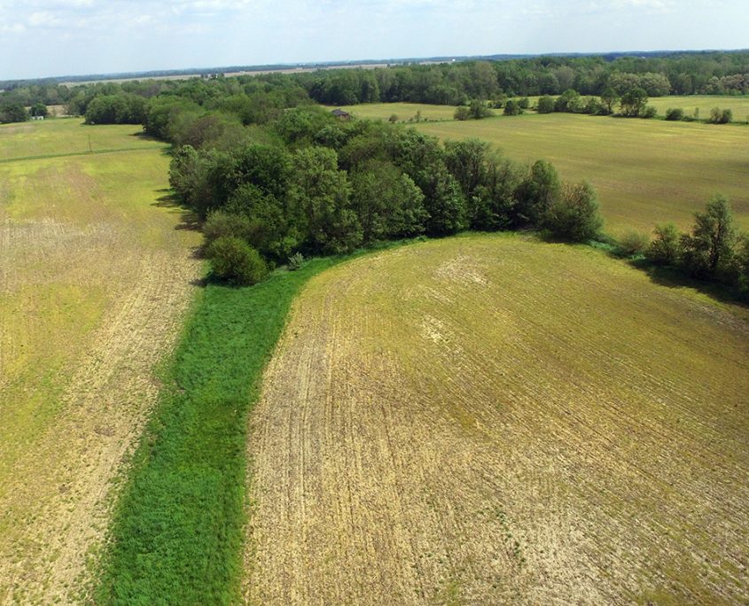 Tillable Farm Carroll County, Indiana Flora Farmland Real Estate